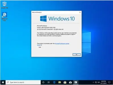 Windows 10 RTM version 1903 Build 18362.356