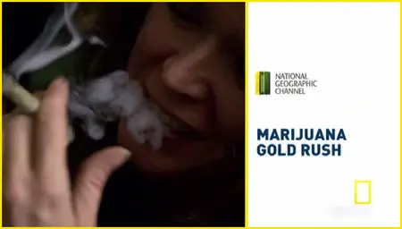 National Geographic Marijuana Gold Rush (2012)