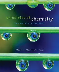 Principles of Chemistry: The Molecular Science (repost)