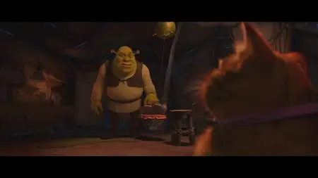 Shrek Forever After (2010)
