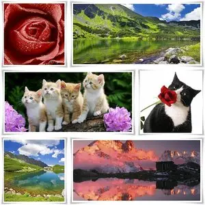 Wallpapers Collection PJ1