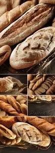 Stock Photo - Bread & Bakery