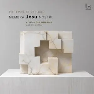 Conductus Ensemble & Andoni Sierra - Membra Jesu nostri (2022)