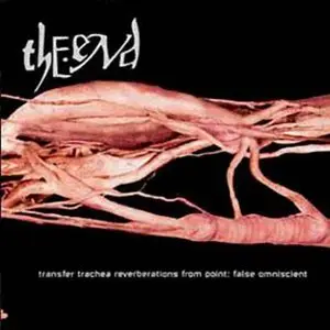 The End - Transfer Trachea Reverberations from Point False Omniscient (2002) [HQ]