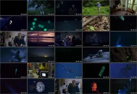 Attenborough's Life That Glows (2016)