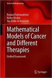 Mathematical Models of Cancer and Different Therapies: Unified Framework