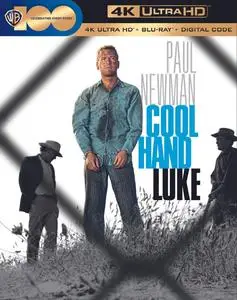 Cool Hand Luke (1967) [4K, Ultra HD]