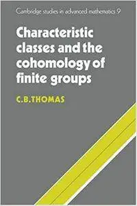 Characteristic Classes and the Cohomology of Finite Groups