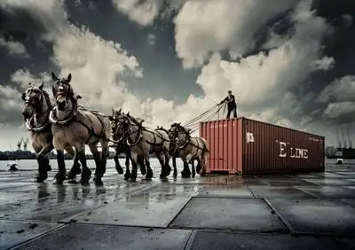 Impressive Pictures Pack7 Gallery