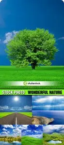 Shutterstock: Wonderful Nature