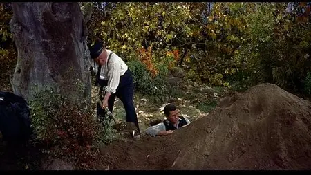 The Trouble with Harry (1955)