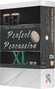Perfect Kits Perfect Percussion XL KONTAKT