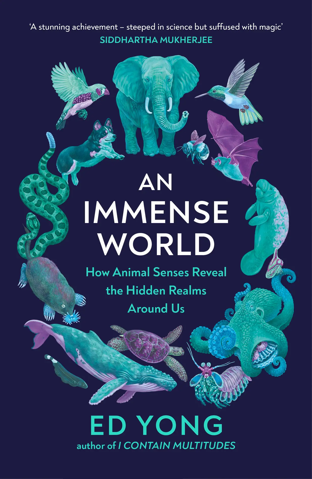 An Immense World How Animal Senses Reveal The Hidden Realms Around Us 