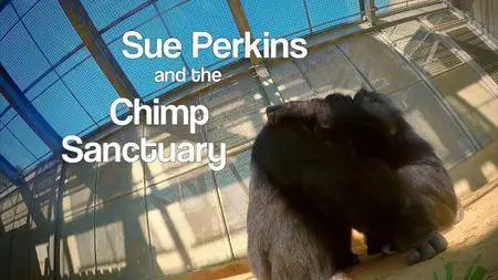 BBC - Sue Perkins and the Chimp Sanctuary (2018)