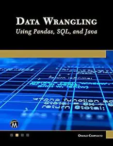 Data Wrangling Using Pandas, SQL, and Java