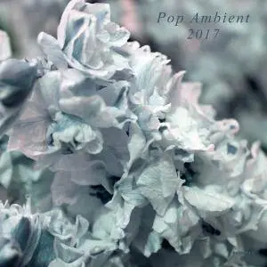 V.A. - Pop Ambient 2017 (2016)