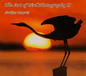 The Art of Bird Photography II (Repost)