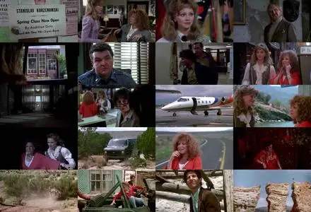 Outrageous Fortune (1987)