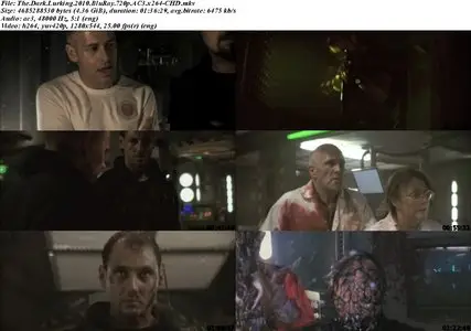 The Dark Lurking (2010)