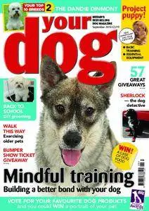 Your Dog – September 2018