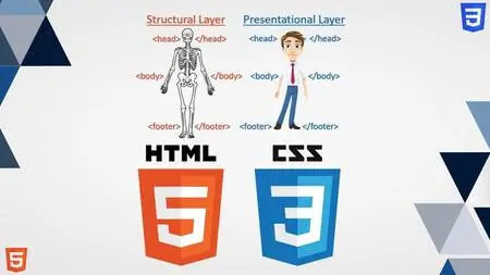 From HTML to CSS: Comprehensive Beginner's Course