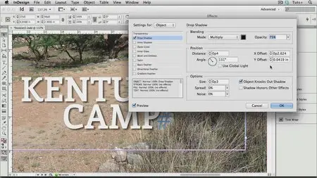 Tutsplus - InDesign Fundamentals (2012)