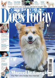 Dogs Today UK - Issue 365 2025