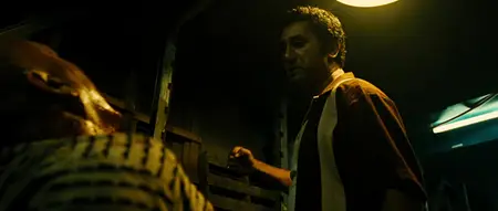 Colombiana (2011)