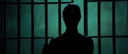Colombiana (2011)