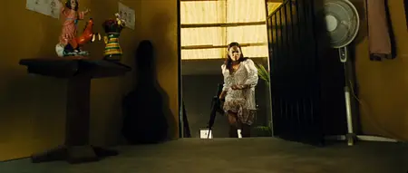 Colombiana (2011)
