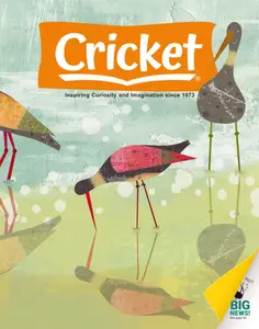 Cricket - July-August 2025