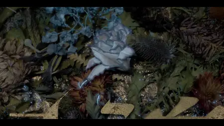 ted S01E05