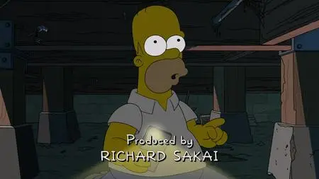 Die Simpsons S34E19