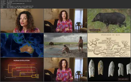 TTC Video - The Human Journey