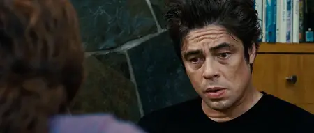 Things We Lost in the Fire (2007)