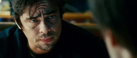 Things We Lost in the Fire (2007)