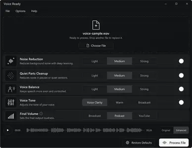 Voice Ready 1.0.2 + Portable
