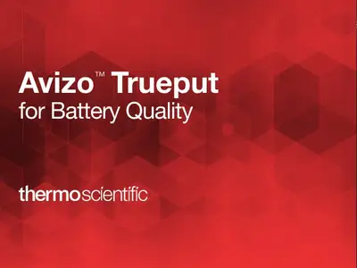 Avizo Trueput Software 2024.1 (x64)