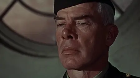 The Dirty Dozen (1967) [MultiSubs]
