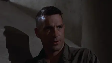The Dirty Dozen (1967) [MultiSubs]