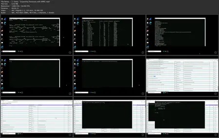 Windows Endpoint Security: Processes
