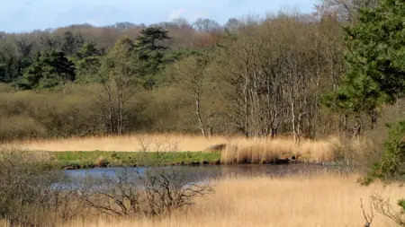 Wild Britain S01E05