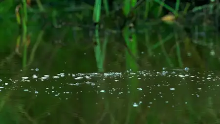 Wild Britain S01E05