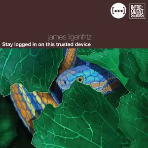 James Ilgenfritz - Stay Logged In On This Trusted Device (2024) [Official Digital Download 24/48]