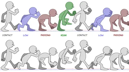 2D Animation: Character & Attitude Walk Cycles