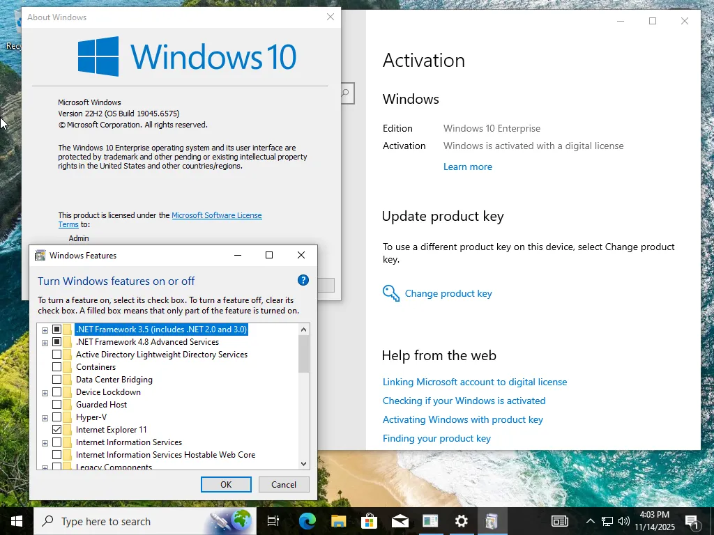 Windows 10 Enterprise/Iot Enterprise 22H2 build 6575 Preactivated (x64) Multilingual November 2025
