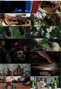 Welcome To The Jungle (2003) The Rundown