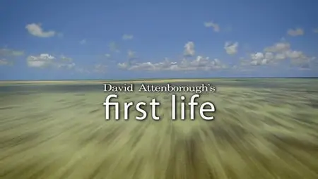 First Life with David Attenborough (2010) [repost]