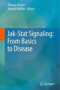 Jak-Stat Signaling: From Basics to Disease