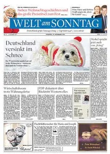 Die Welt am Sonntag 19 Dezember 2010